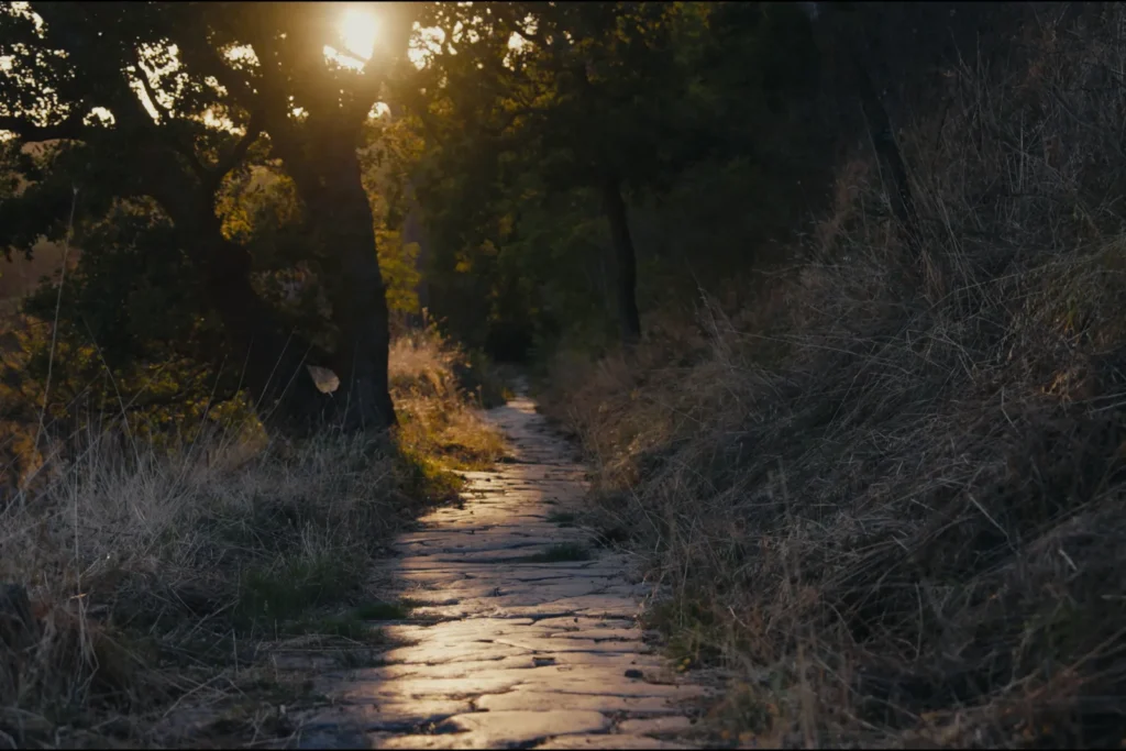 Genevitis - Lazio_Mitreo - Identità laziale