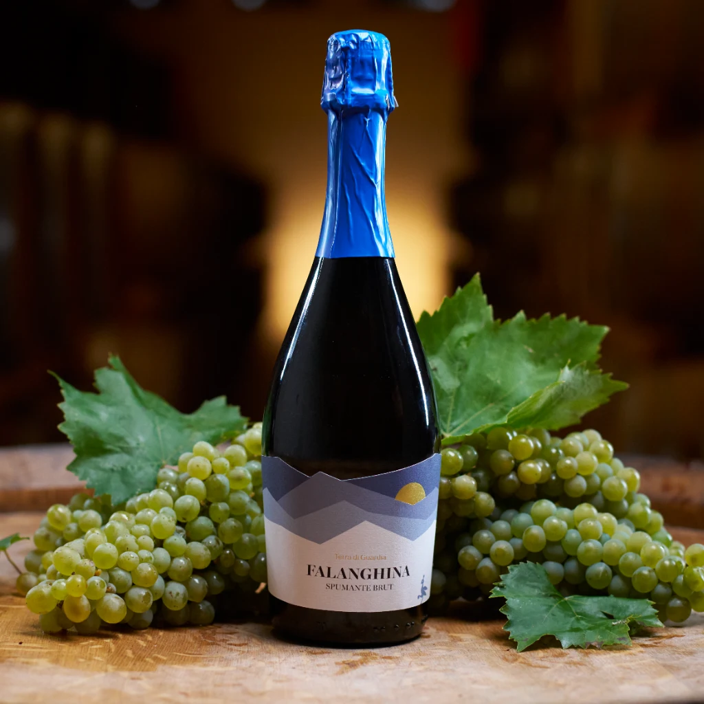 Spumante Falanghina Brut - Genevitis