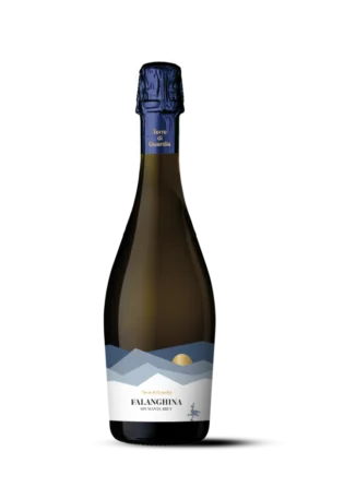 TERRE-DI-GUARDIA-FALANGHINA-SPUMANTE