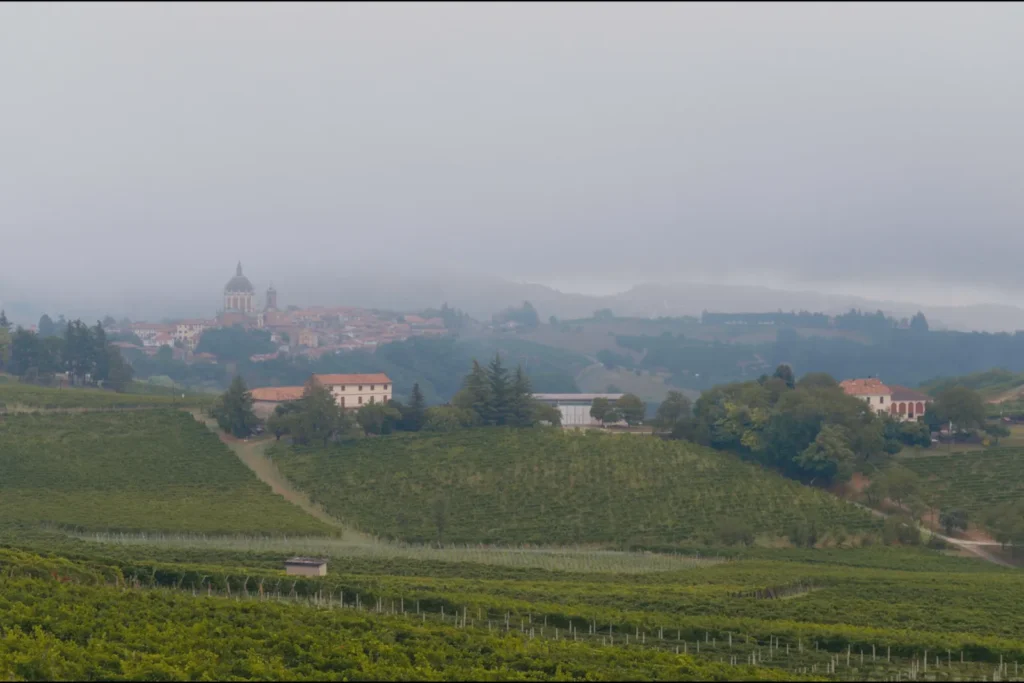 Genevitis - Piemonte_Territorio