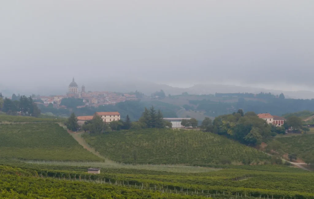 Genevitis - Piemonte_Territorio