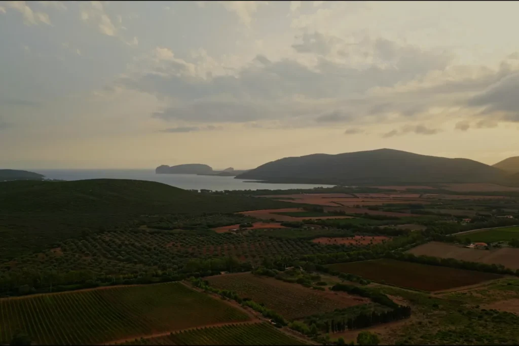 Genevitis - Sardegna_Partner