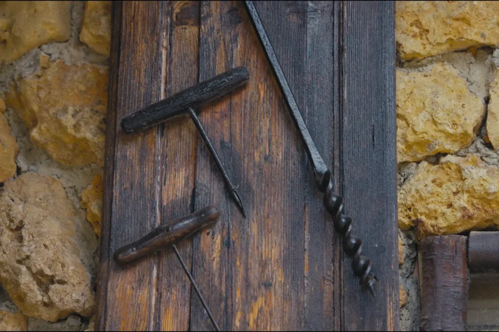 Genevitis - Sardegna_Progetto Genevitis